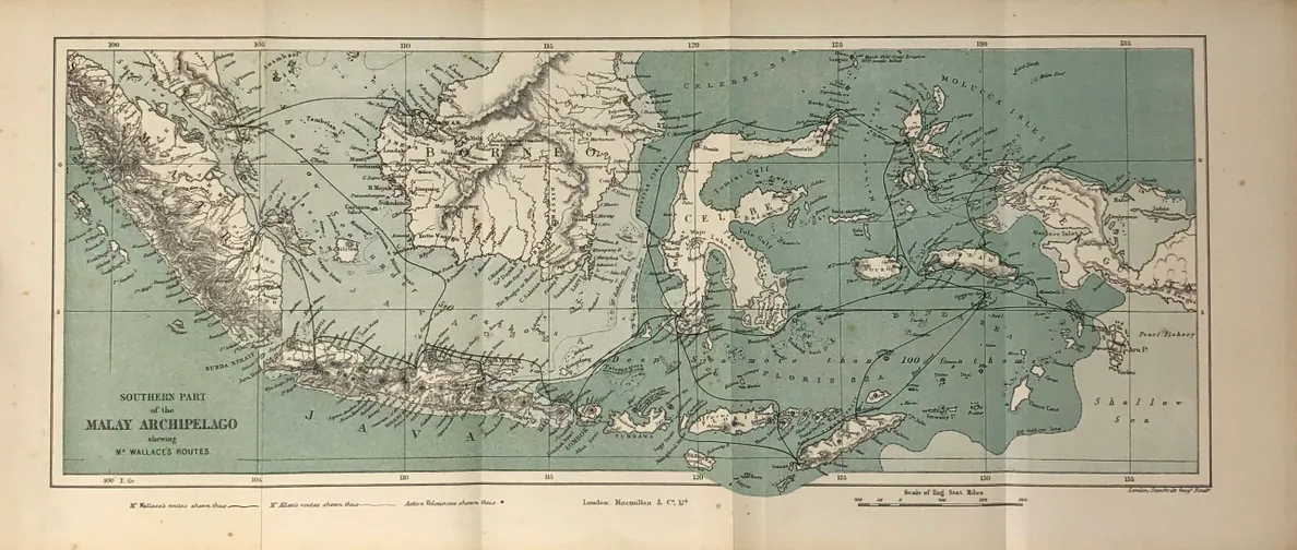 The Malay Archipelago: