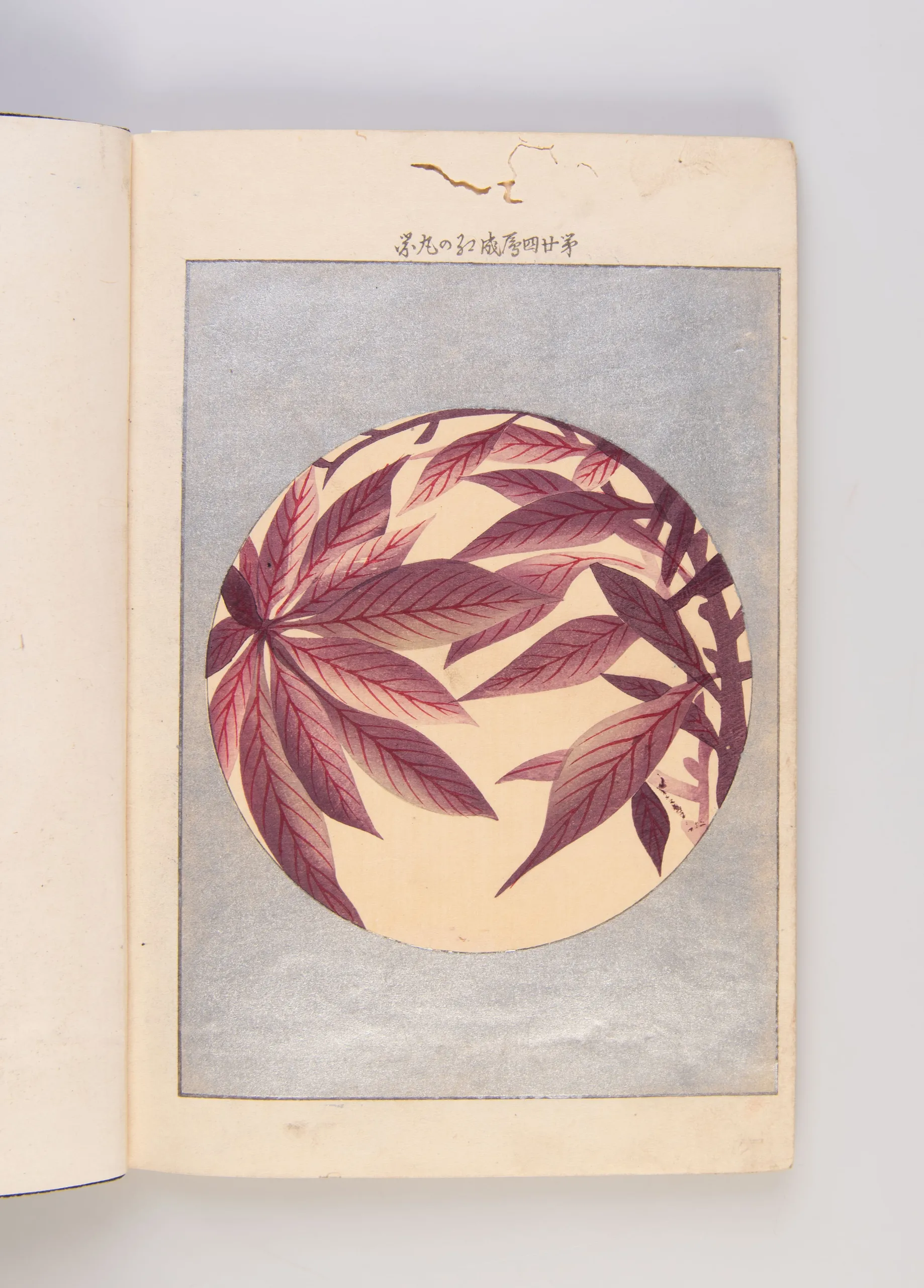 Miyama no shiori [Guide to the heart of the mountains].