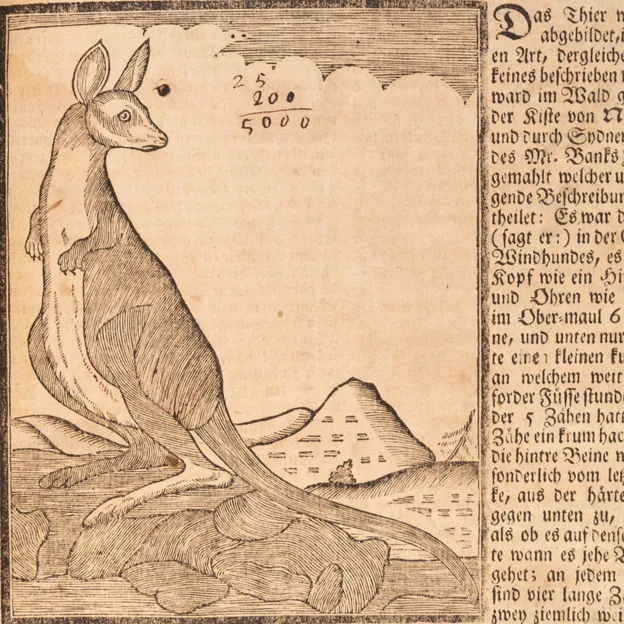 2025 Melbourne Rare Book Fair