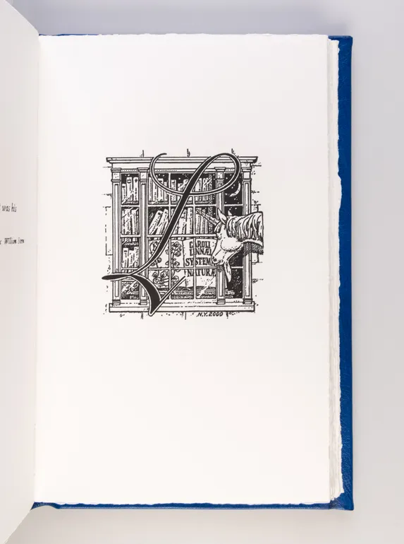 A Modern Alphabet for Unicorns