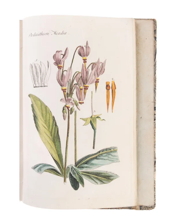 Plantes et arbustes d'agrément, gravés et enluminés d'après nature, avec la manière de les cultiver.
