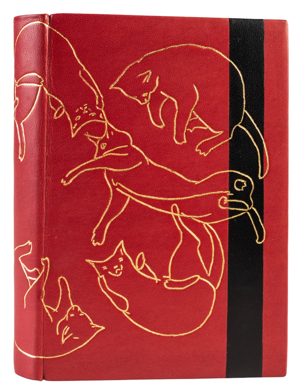 27 Matt Stockl, set book copy