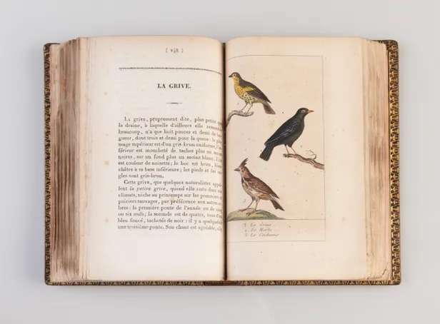 Manuel de l'amateur des oiseaux de chambre contenant la manière de prendre à la Chasse, de nourrir, d'apprivoiser, d'instruire, de multiplier, d'élever, de traiter dans leurs Maladies ...