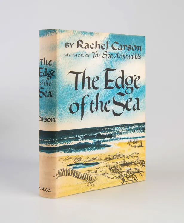 The Edge of the Sea.