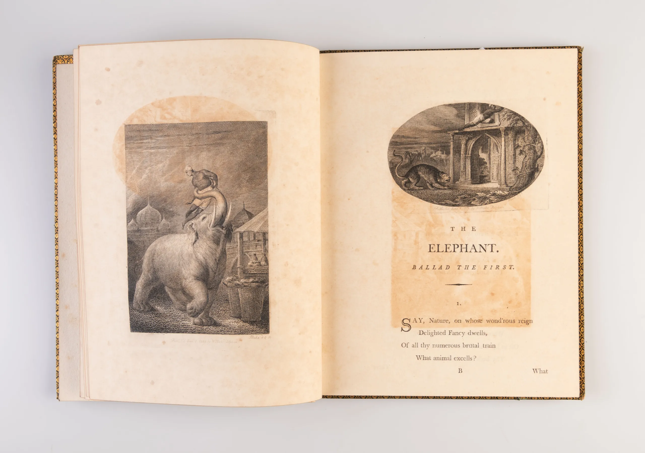 Designs to a Series of Ballads, Written by William Hayley, Esq. and Founded on Anecdotes Relating to Animals. Drawn, Engraved, and Published by William Blake; with the Ballads Annexed by the Author's Permission.