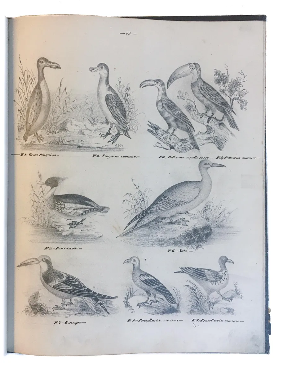 [Three illustrated notebooks.]
