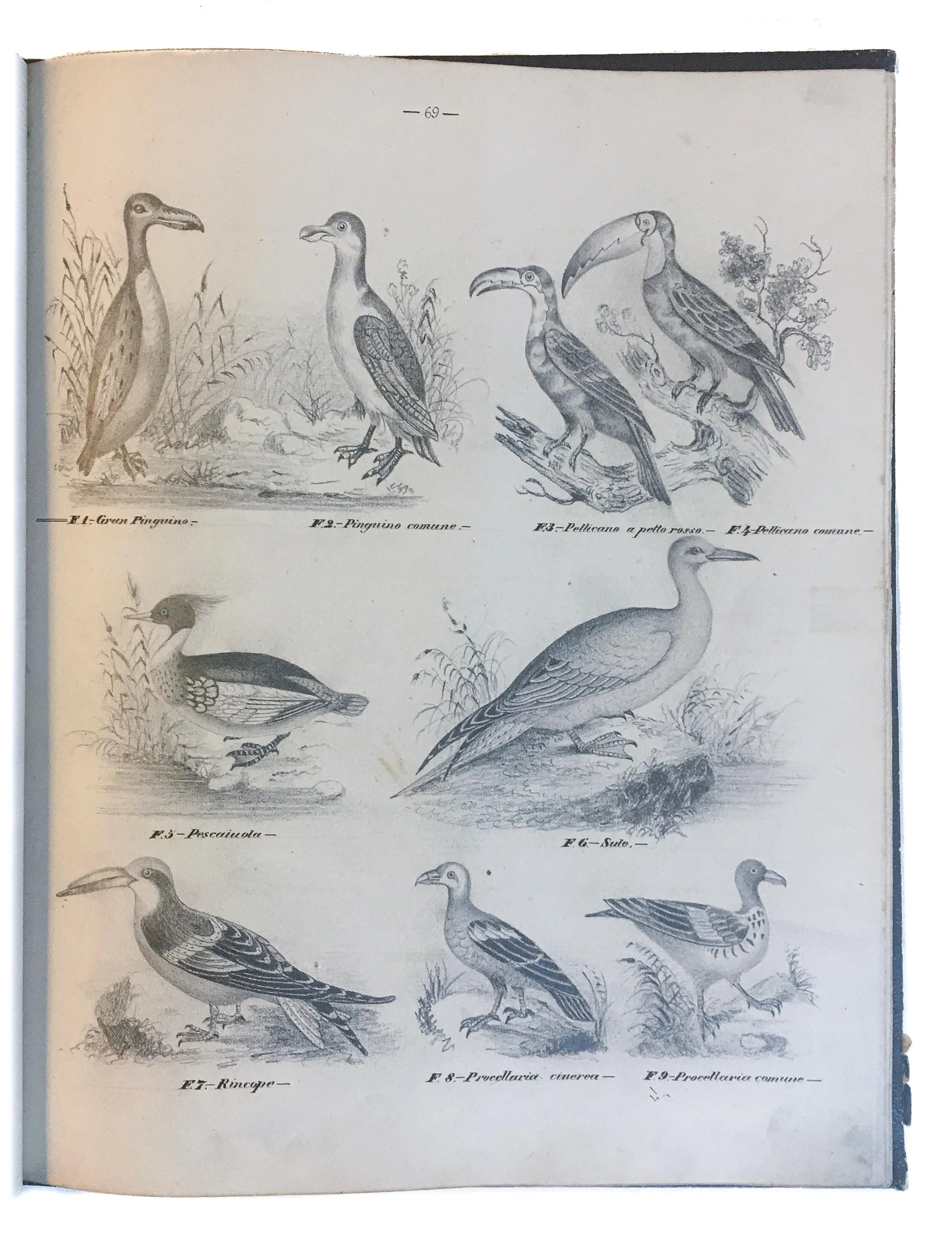 [Three illustrated notebooks.]
