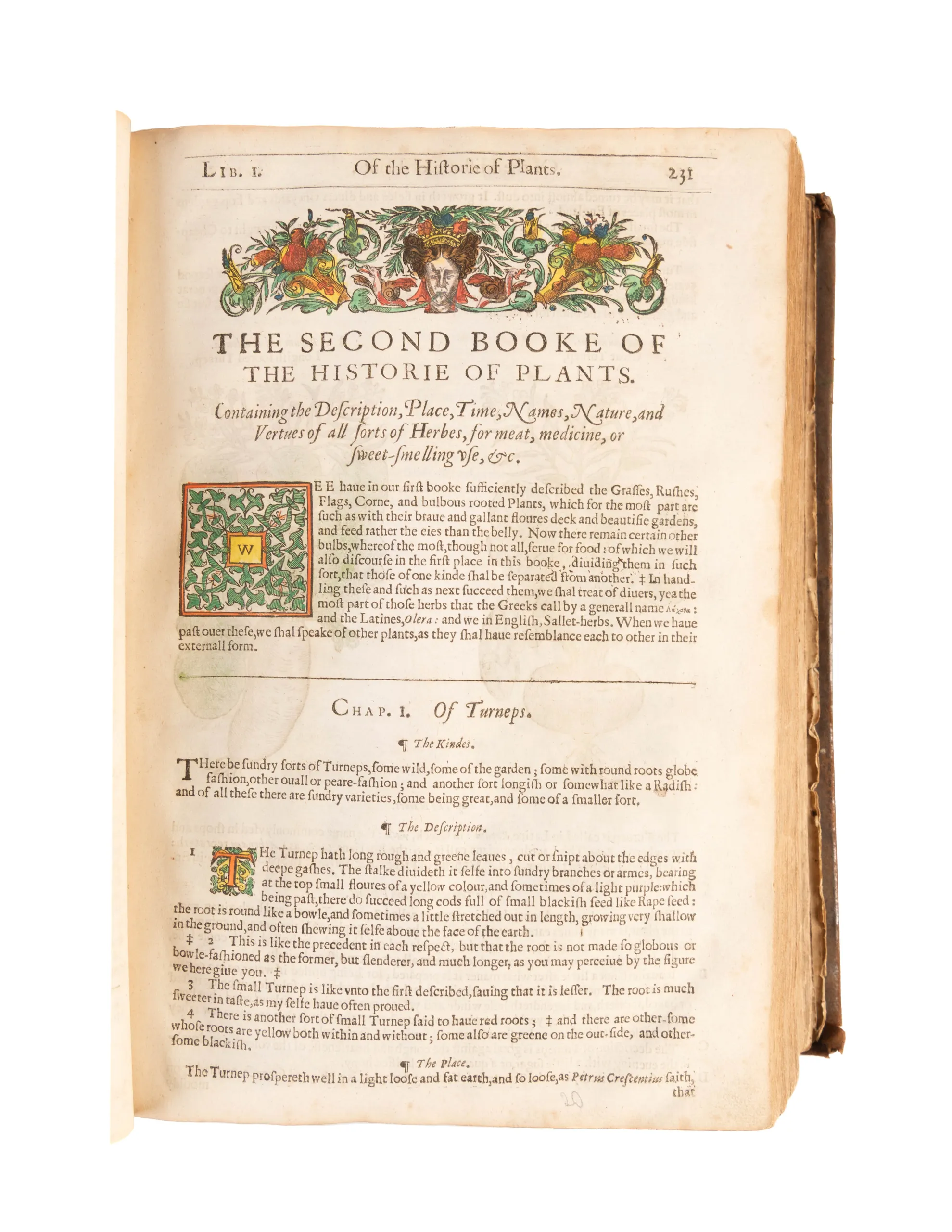 The Herball or Generall Historie of Plantes.