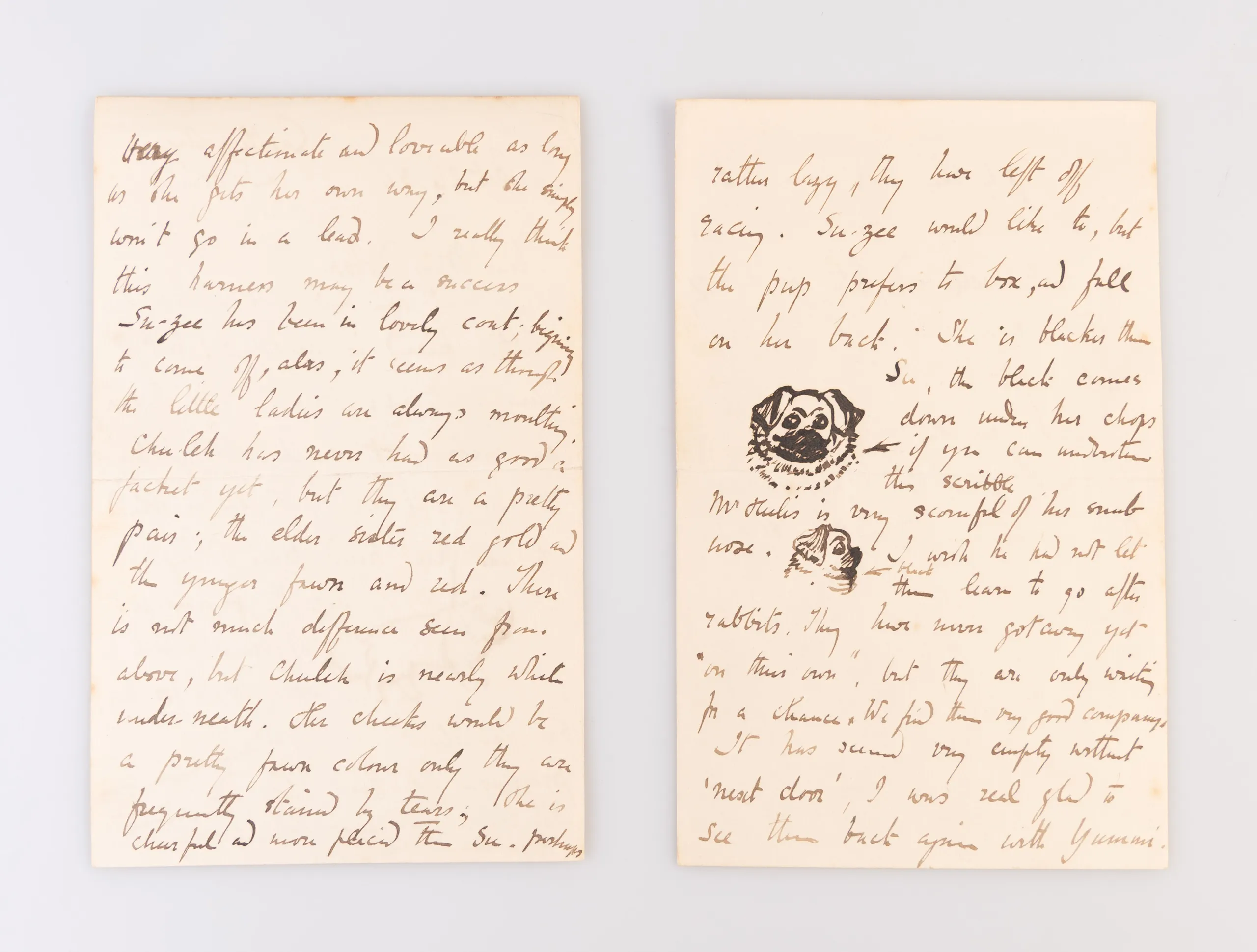 Illustrated Autograph Letter Signed “Beatrix Heelis” to “Dear Miss Dobson” [likely a friend and neighbour],