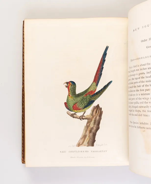 The Voyage of Governor Phillip to Botany Bay; with an Account of the Establishment of the Colonies of Port Jackson & Norfolk Island