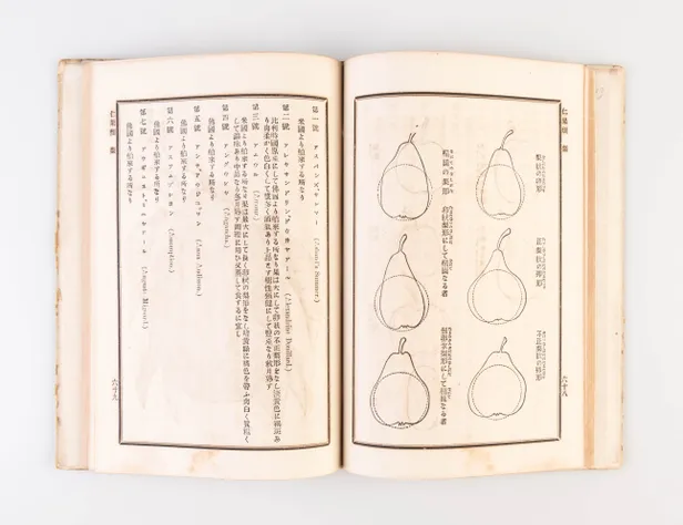Hakurai kaju yoran [Handbook of Foreign Fruits].