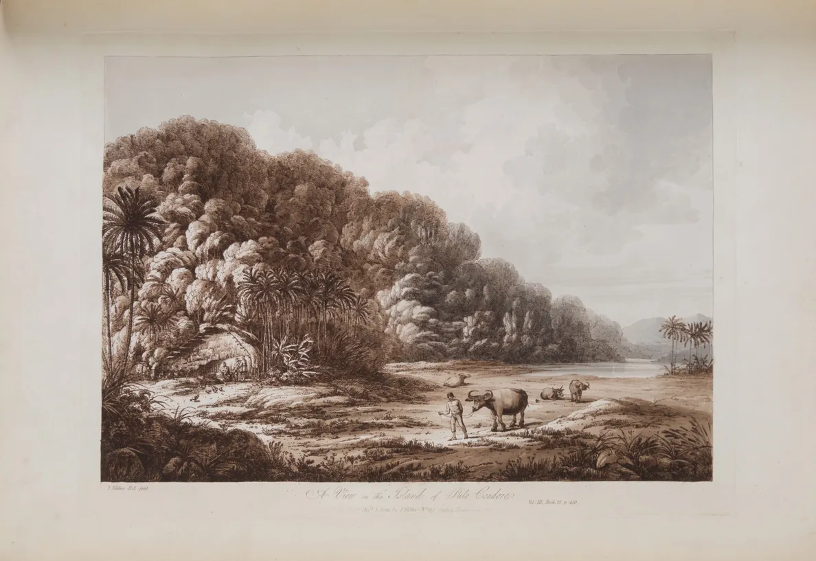 [Views in the South Seas.]