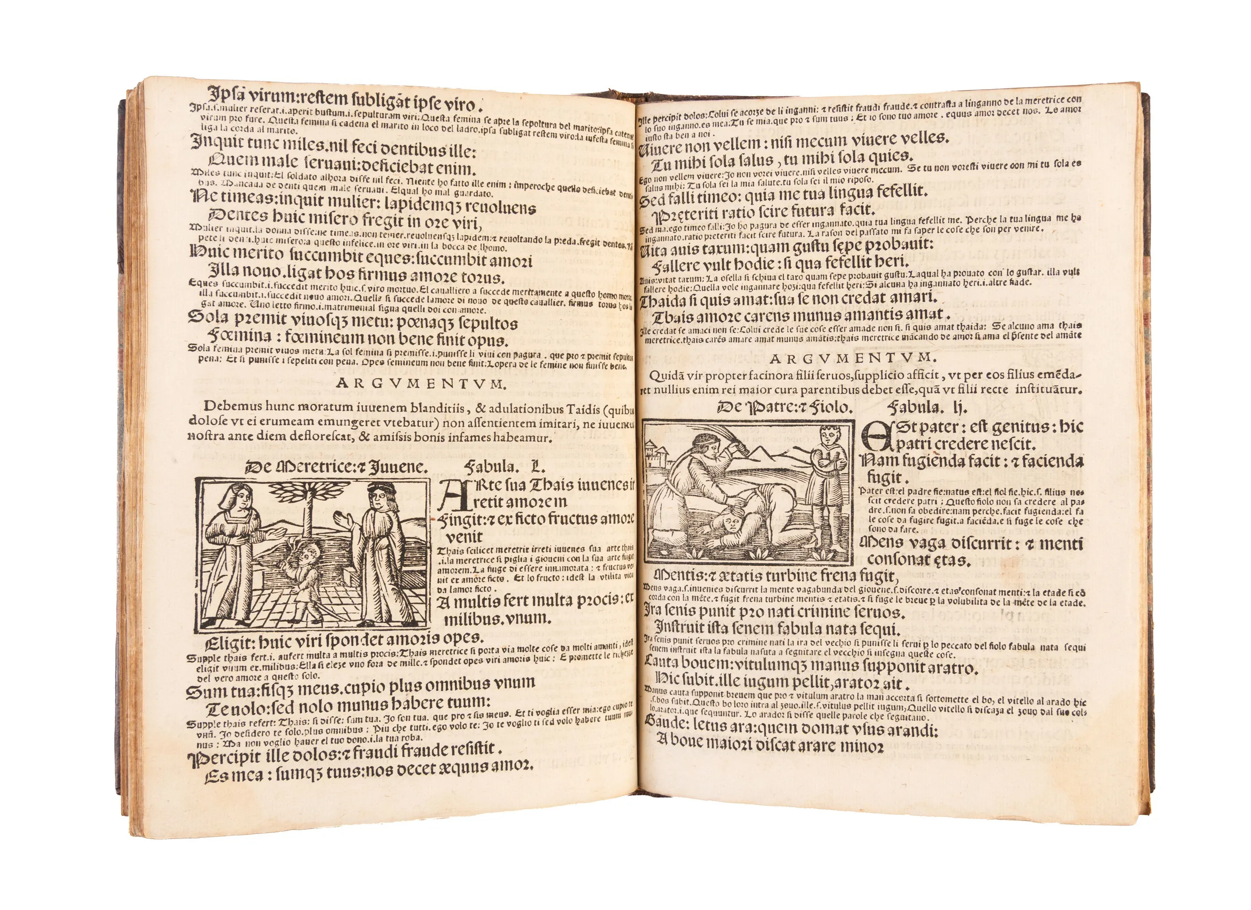 Fabellas una cum argumentis novis.
 
Brescia, heirs of Ludovico Britannicus, 1563