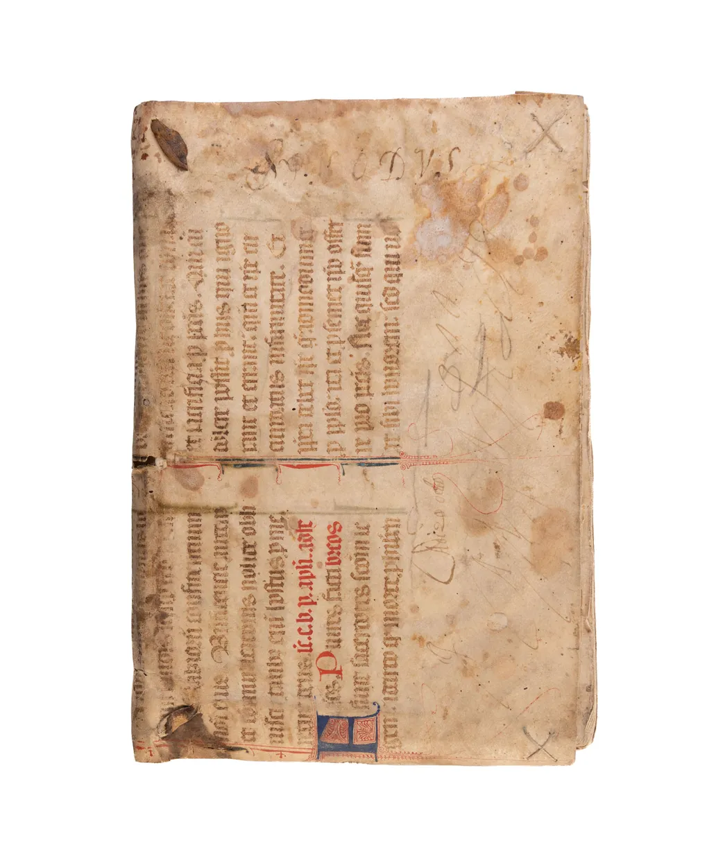 Constitutiones Synodales, et decreta, condita a Reverendiss. D. Guidone Servidio, Episcopo Volaterrano, in Diocesana Synodo.