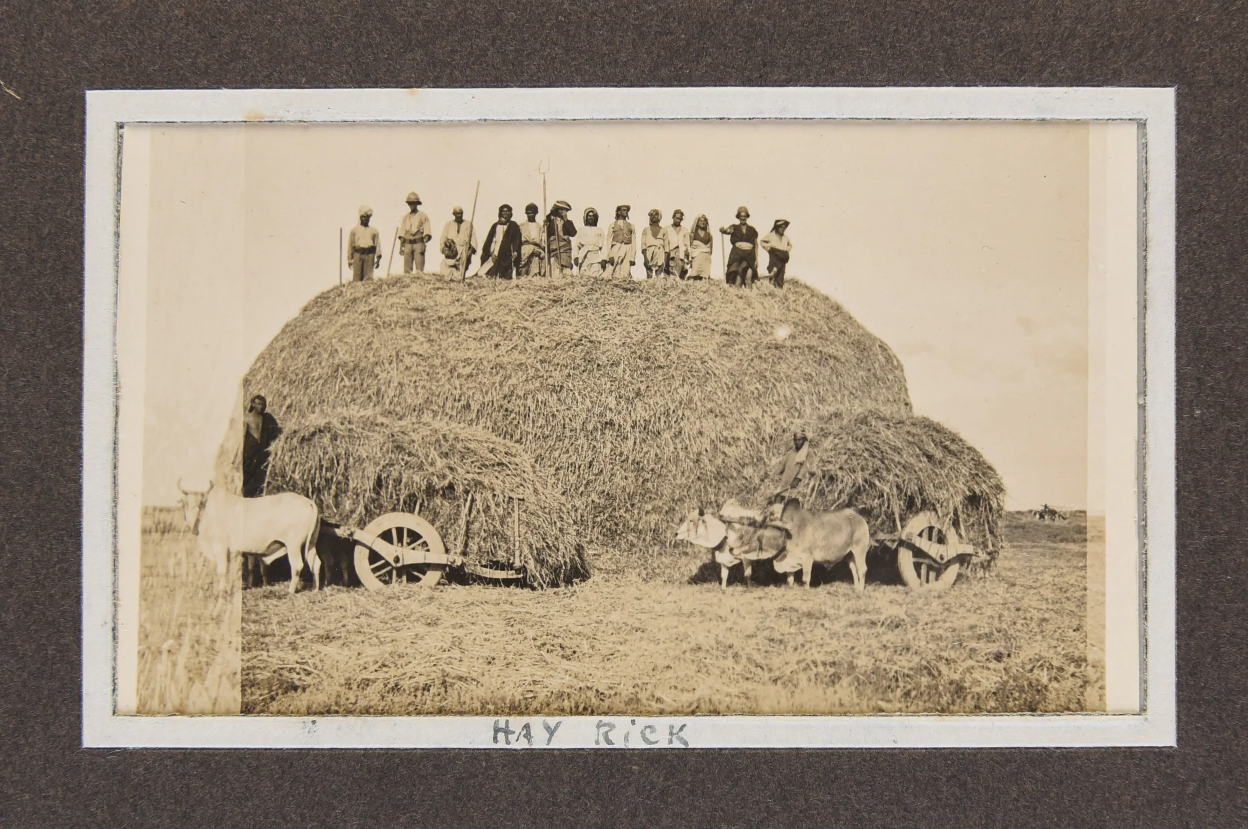 Photograph album compiled by a British nurse, Marjorie M. Thomson, during the Mesopotamian Campaign of the First World War.