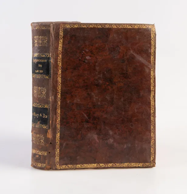 [Sammelband of congressional and constitutional laws.]