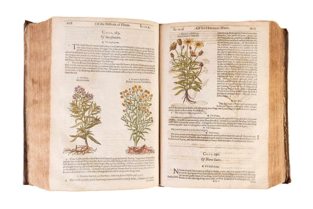 The Herball or Generall Historie of Plantes.