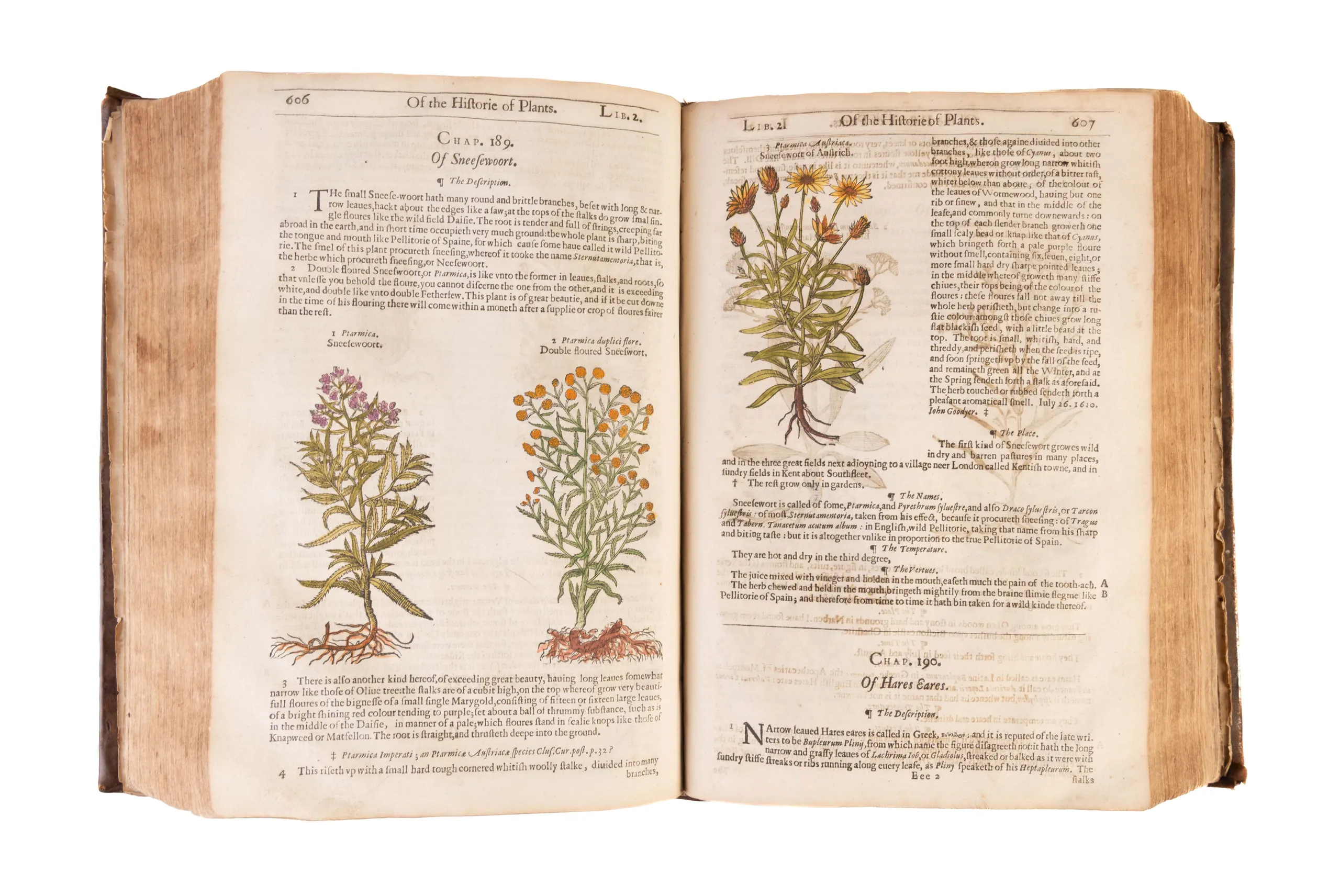 The Herball or Generall Historie of Plantes.