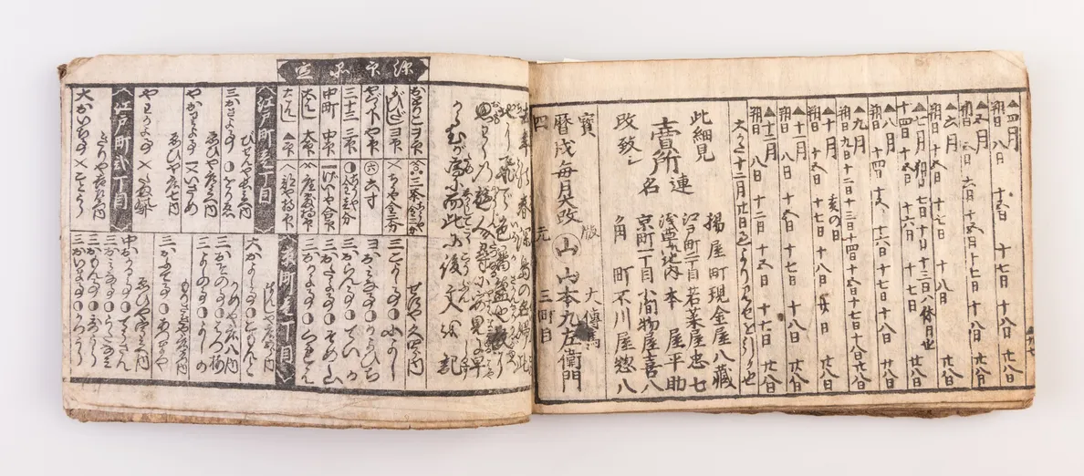 Yanagi sakura [Willow Cherry Blossom]