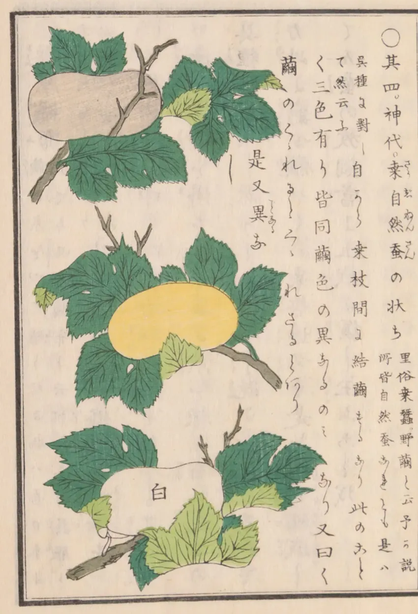 Screenshot 2026-04-24 at 10.29.40