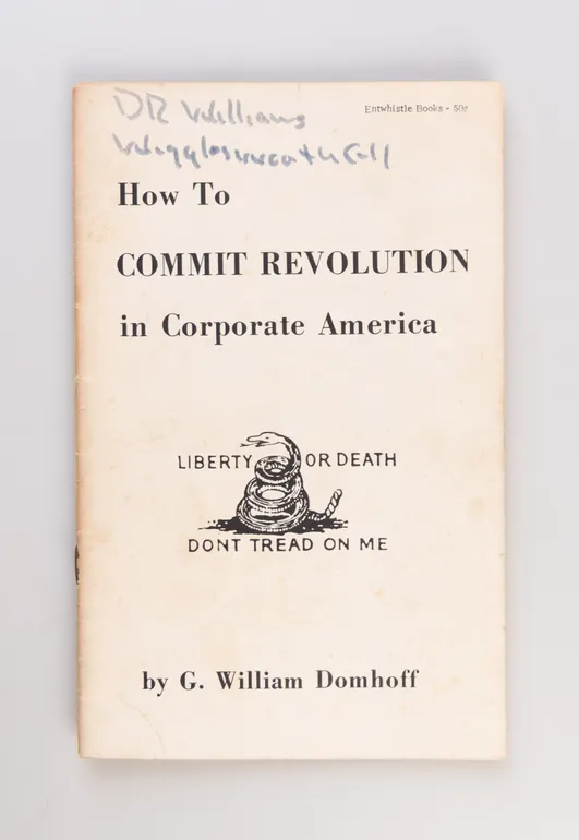 How to Commit Revolution in Corporate America