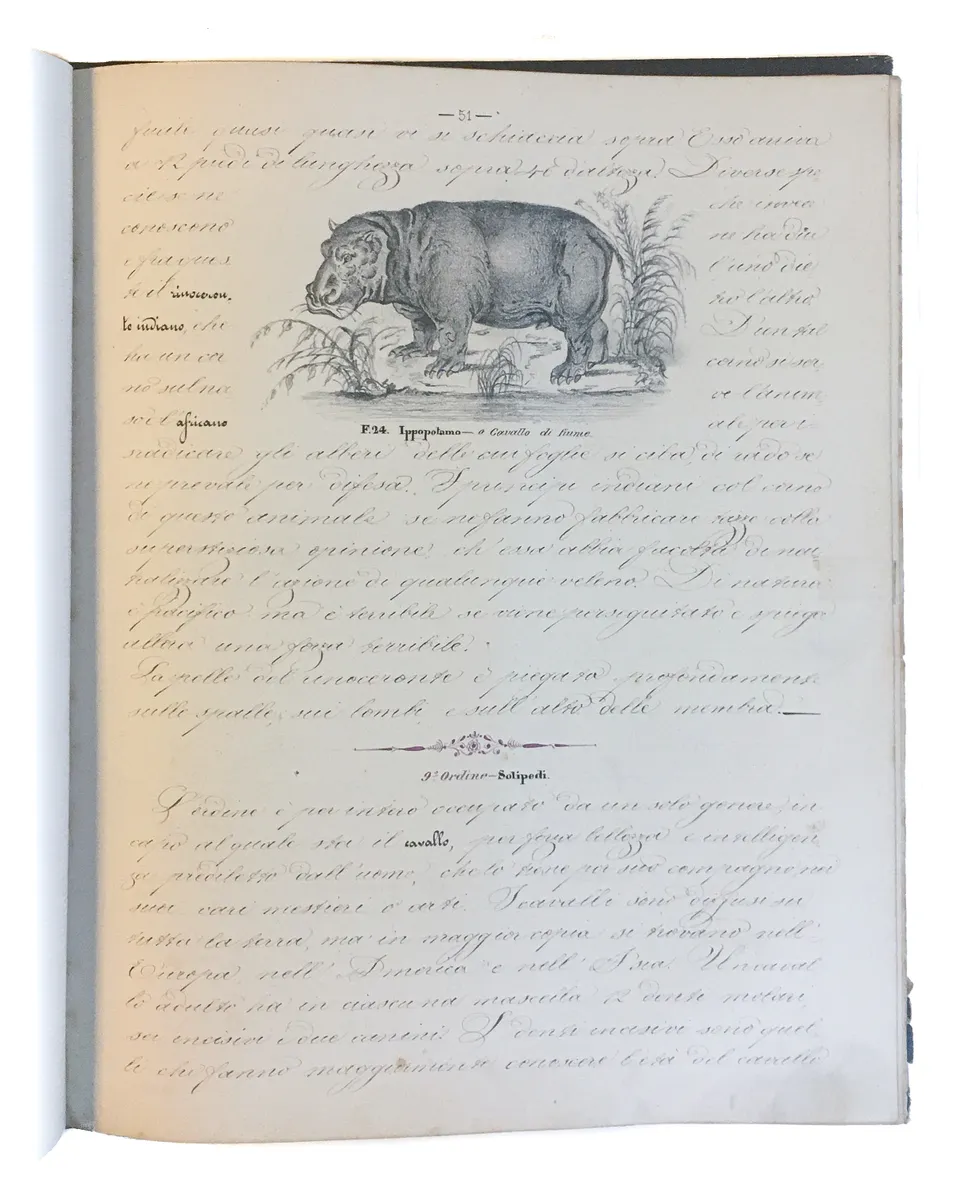 [Three illustrated notebooks.]
