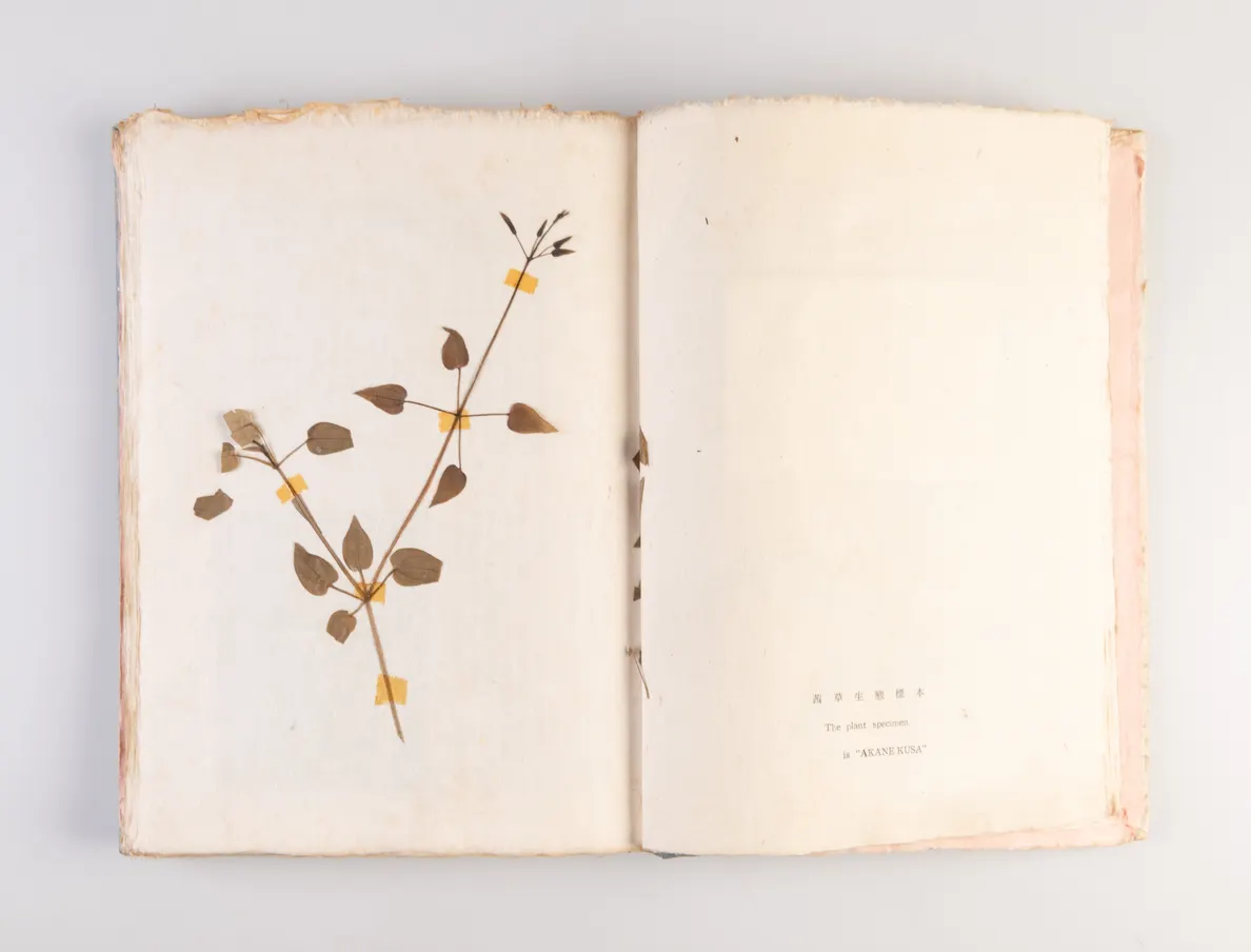 Nihon kuzakizome fu [Japanese plant dyeing manual] / Monograph of Plant-Dyeing Peculiar to Japan