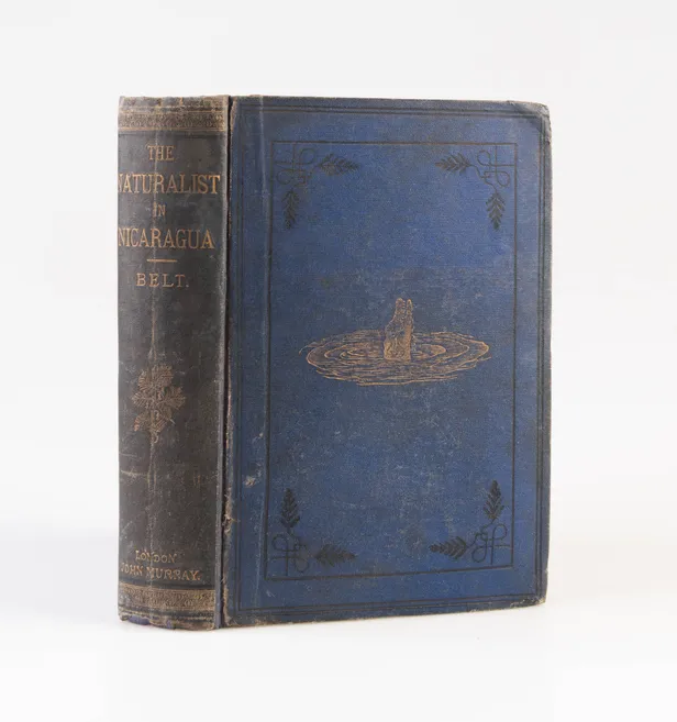 A Naturalist in Nicaragua: A Narrative of a Residence at the Gold Mines of Chontales; Journeys in the Savannahs and Forests.