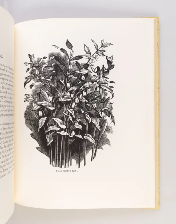 Weeds and Wild Flowers: some irreverent words