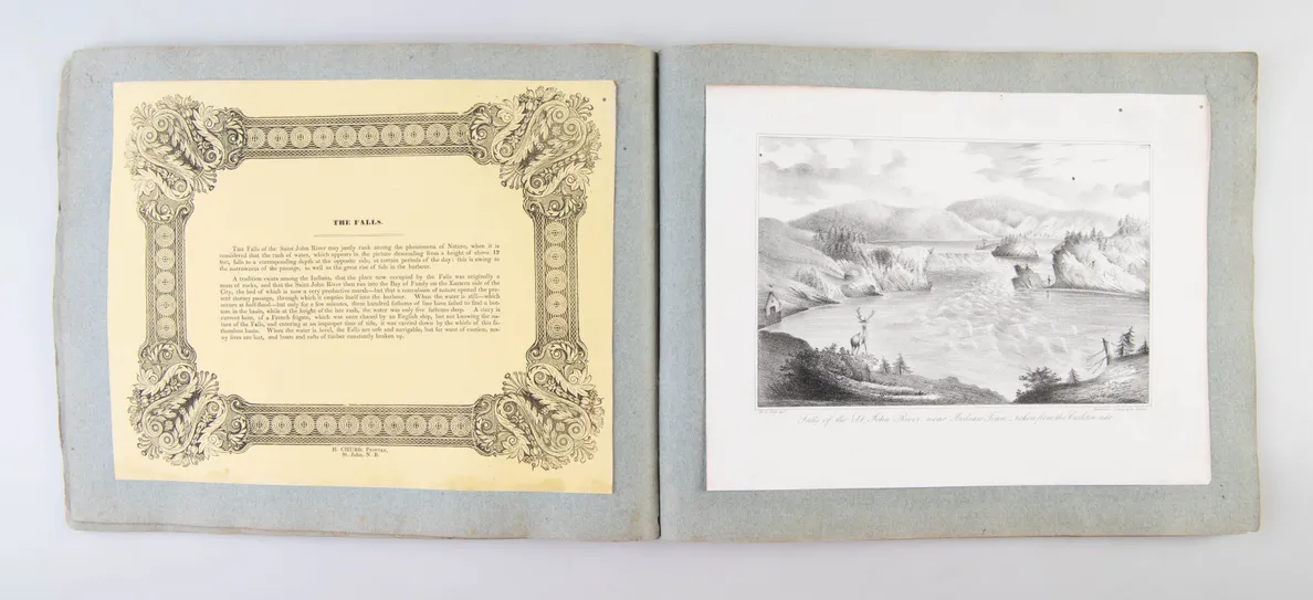 Views of British America drawn from nature, and on stone.