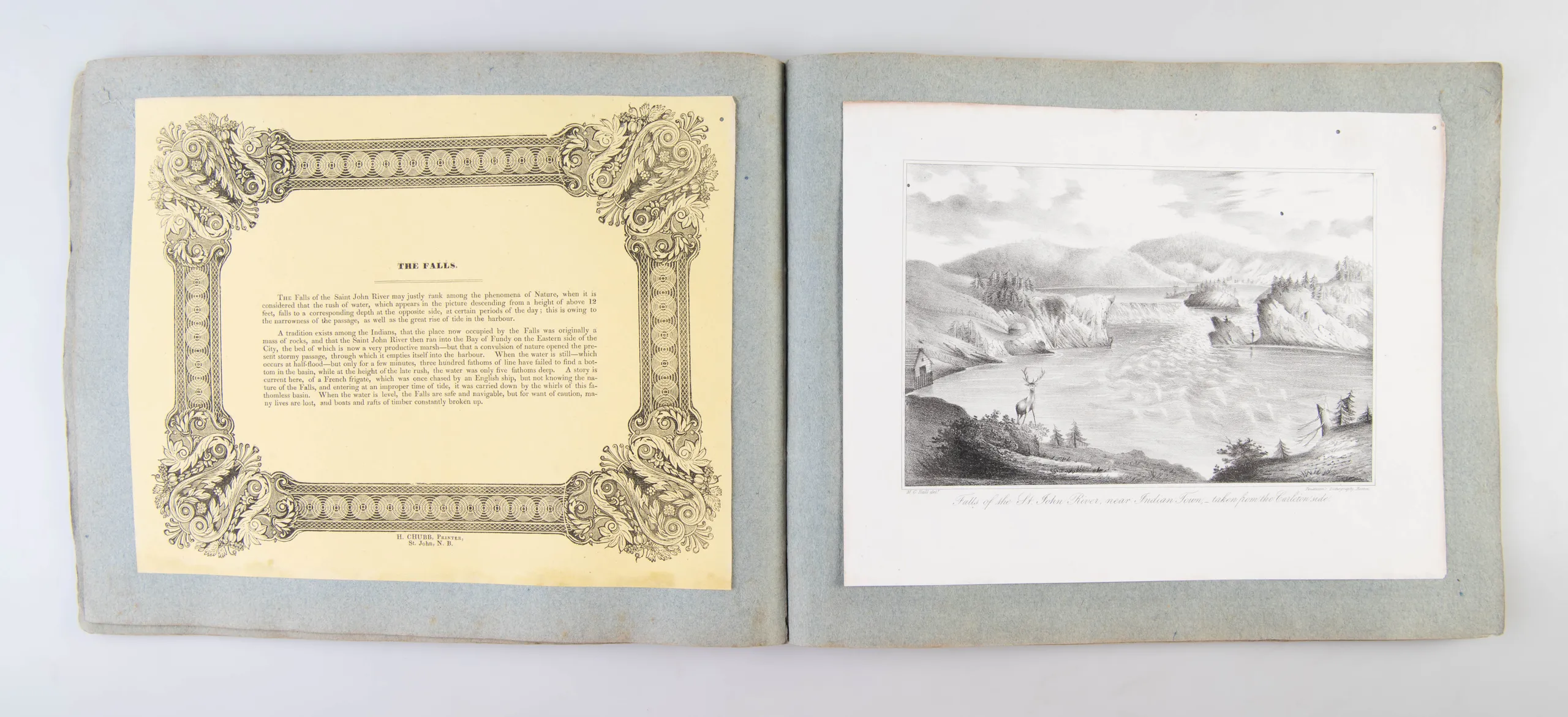 Views of British America drawn from nature, and on stone.