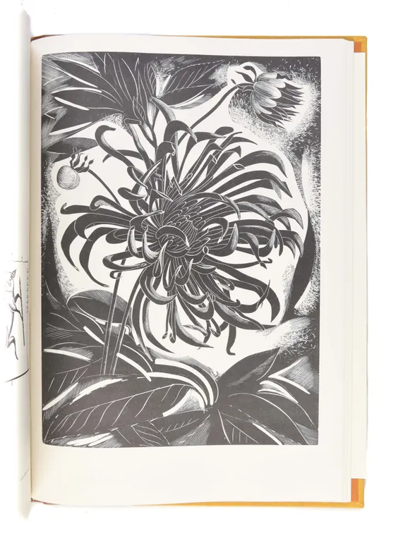 The Wood Engravings of John Farleigh.