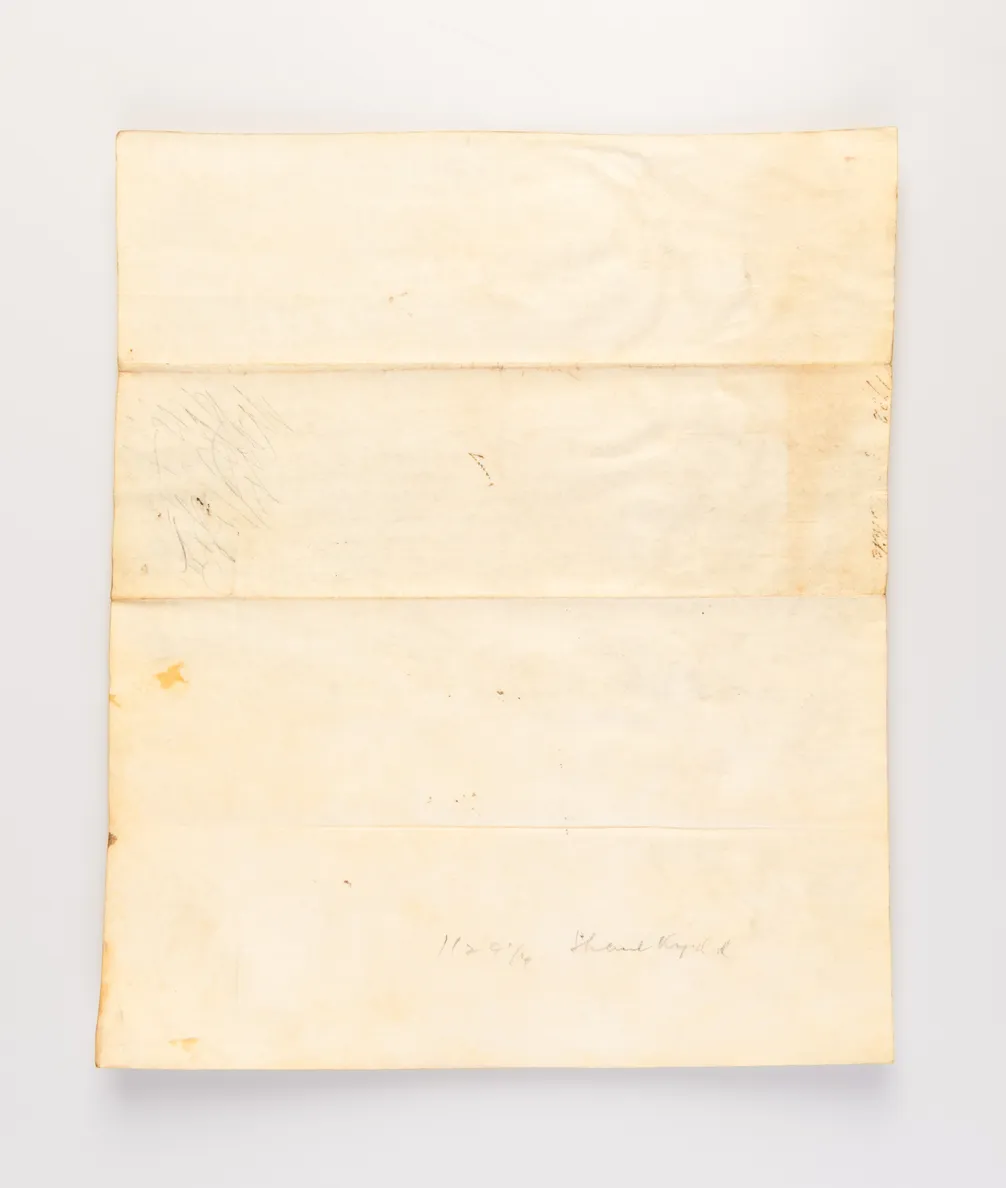 [Four convict disciplinary reports: Mary Murray, Mary Ann North, James Woolf and William White.]