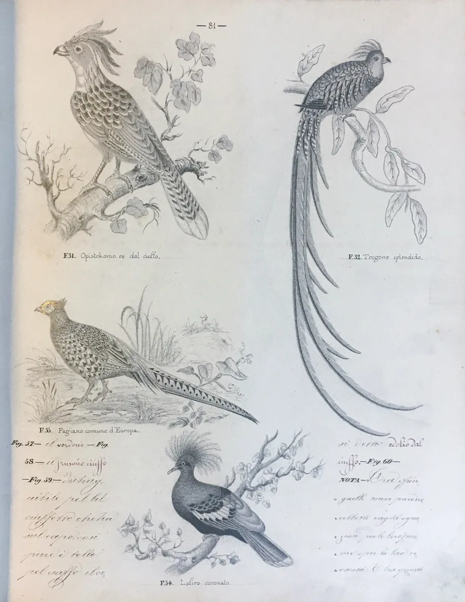 [Three illustrated notebooks.]
