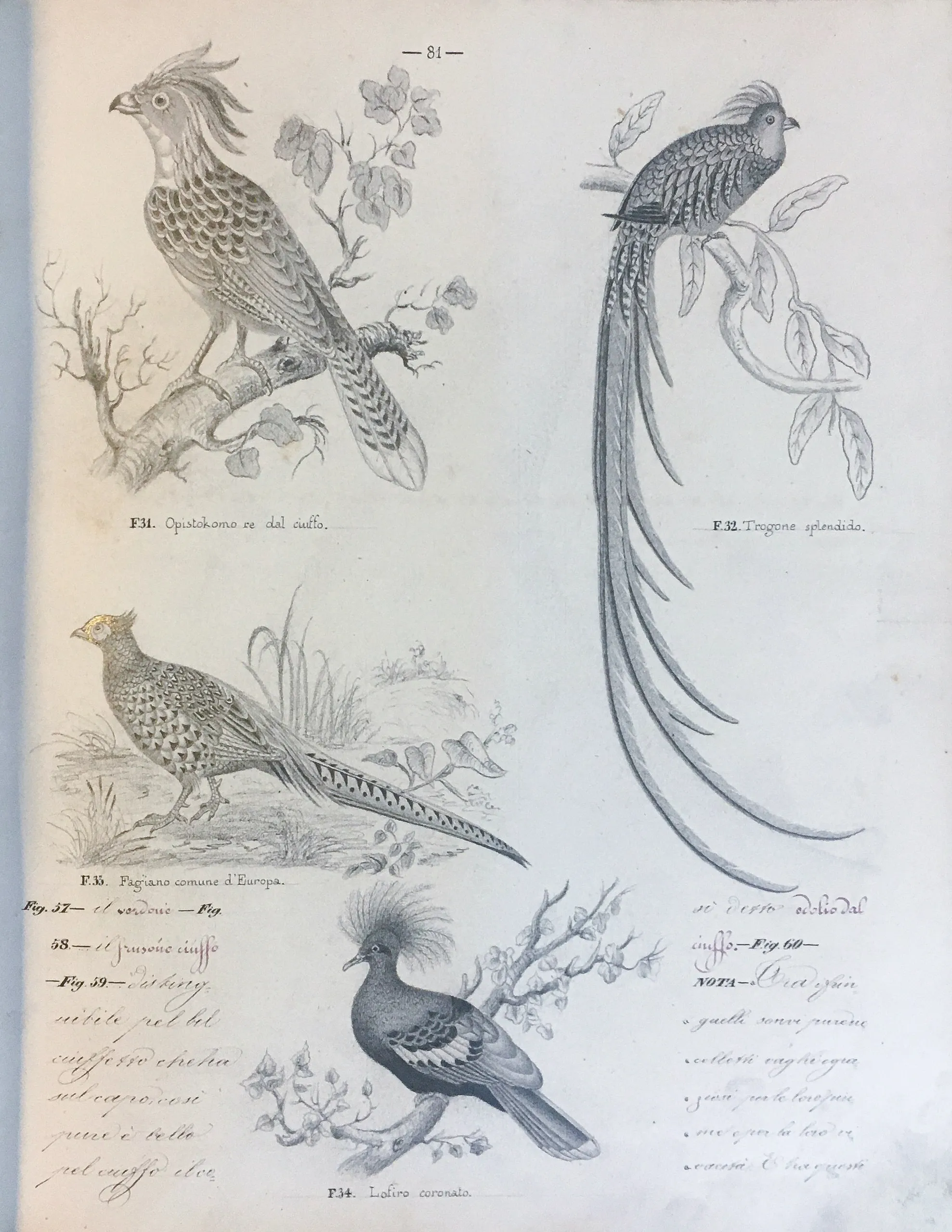[Three illustrated notebooks.]