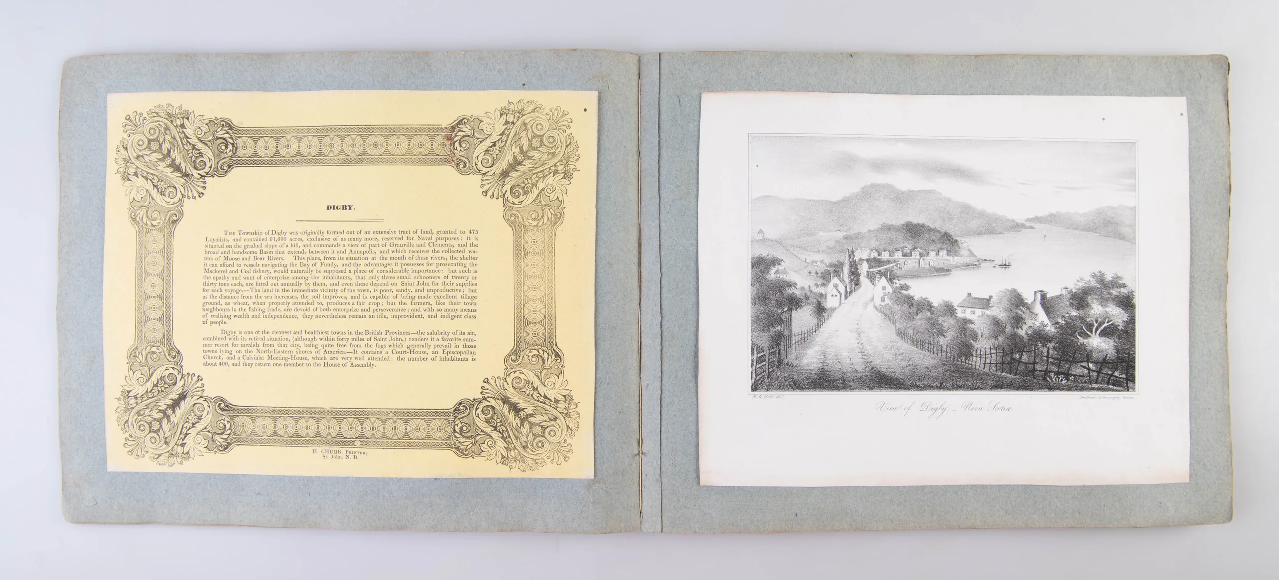 Views of British America drawn from nature, and on stone.