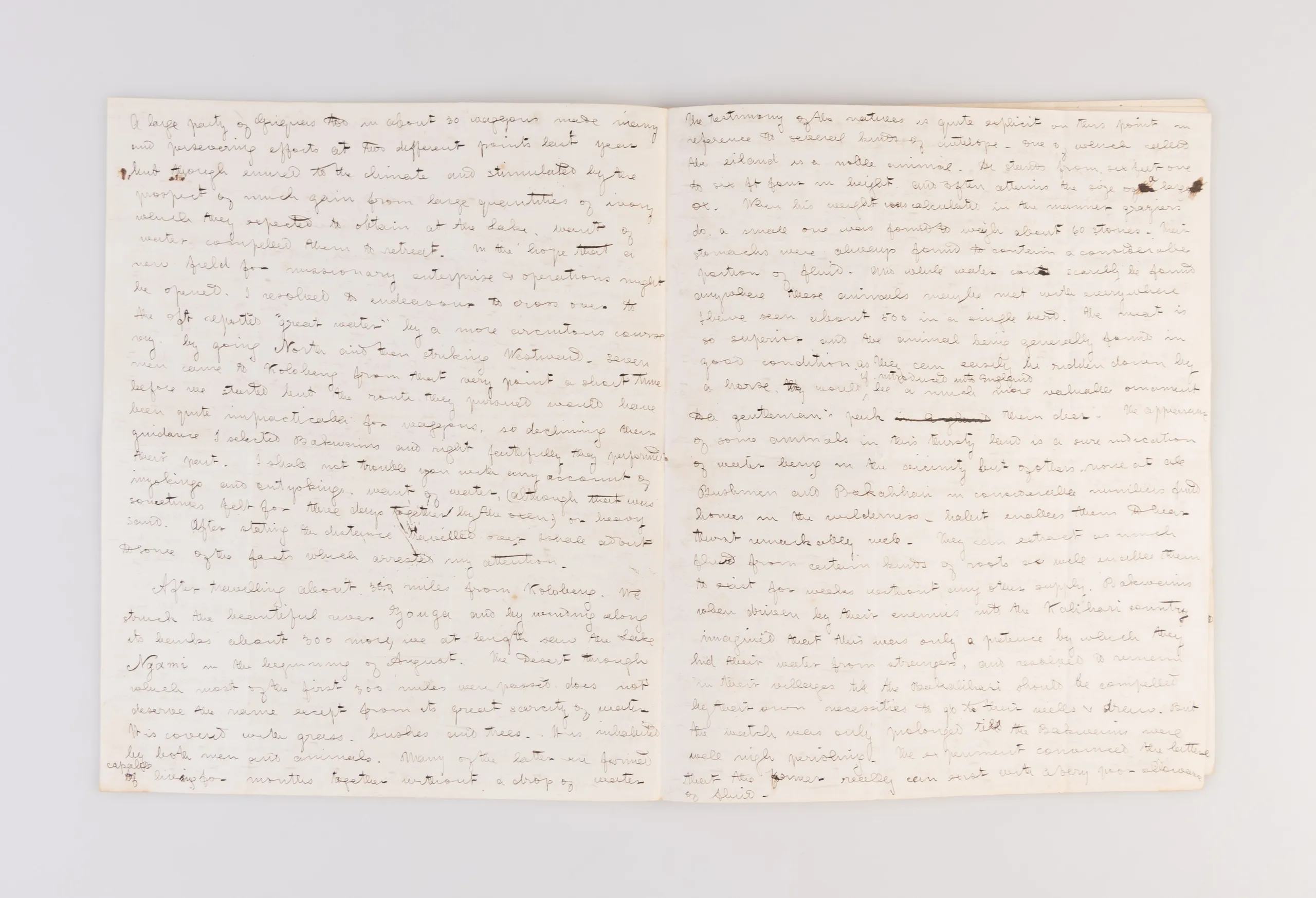 [An exceptionally long and detailed ALS to Isaac Taylor (1787-1865) the writer and inventor, relating his journey from Kolobeng, across the Kalahari Desert to Lake Ngami.]