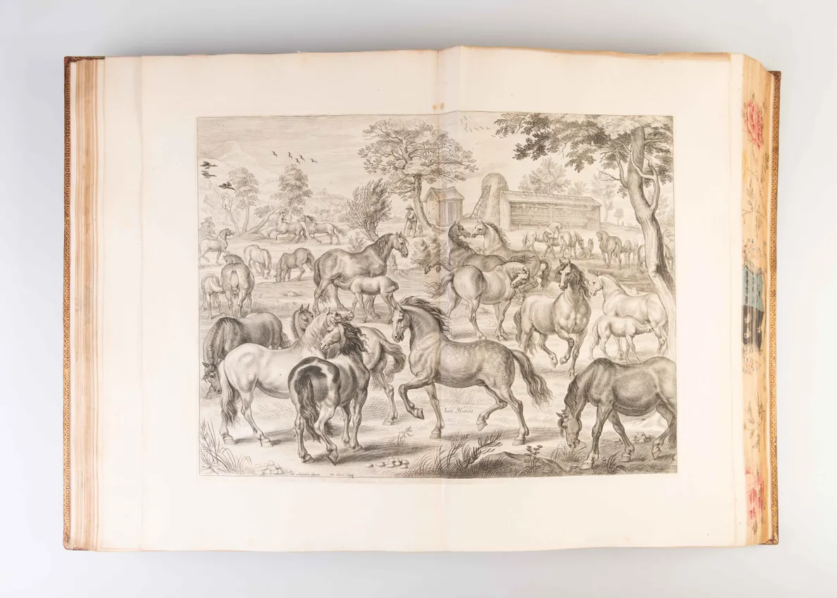 Méthode et Invention Nouvelle de Dresser les Chevaux Par le Tres-Noble, Haut, et Tres-Puissant Prince Guillaume, Marquis et Comte de Newcastle