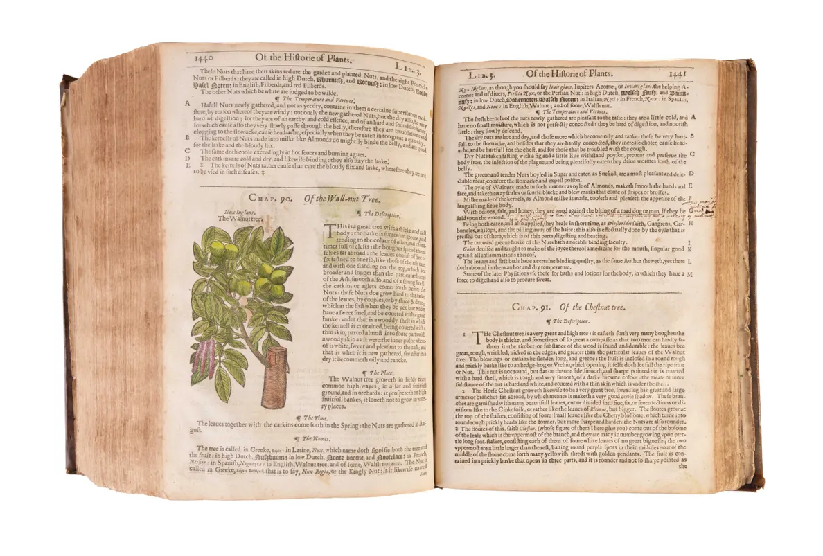 The Herball or Generall Historie of Plantes.