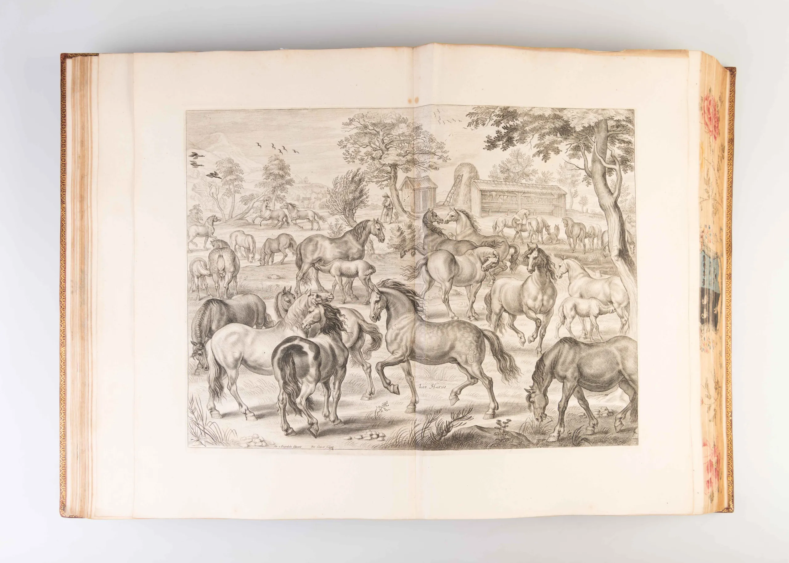 Méthode et Invention Nouvelle de Dresser les Chevaux Par le Tres-Noble, Haut, et Tres-Puissant Prince Guillaume, Marquis et Comte de Newcastle