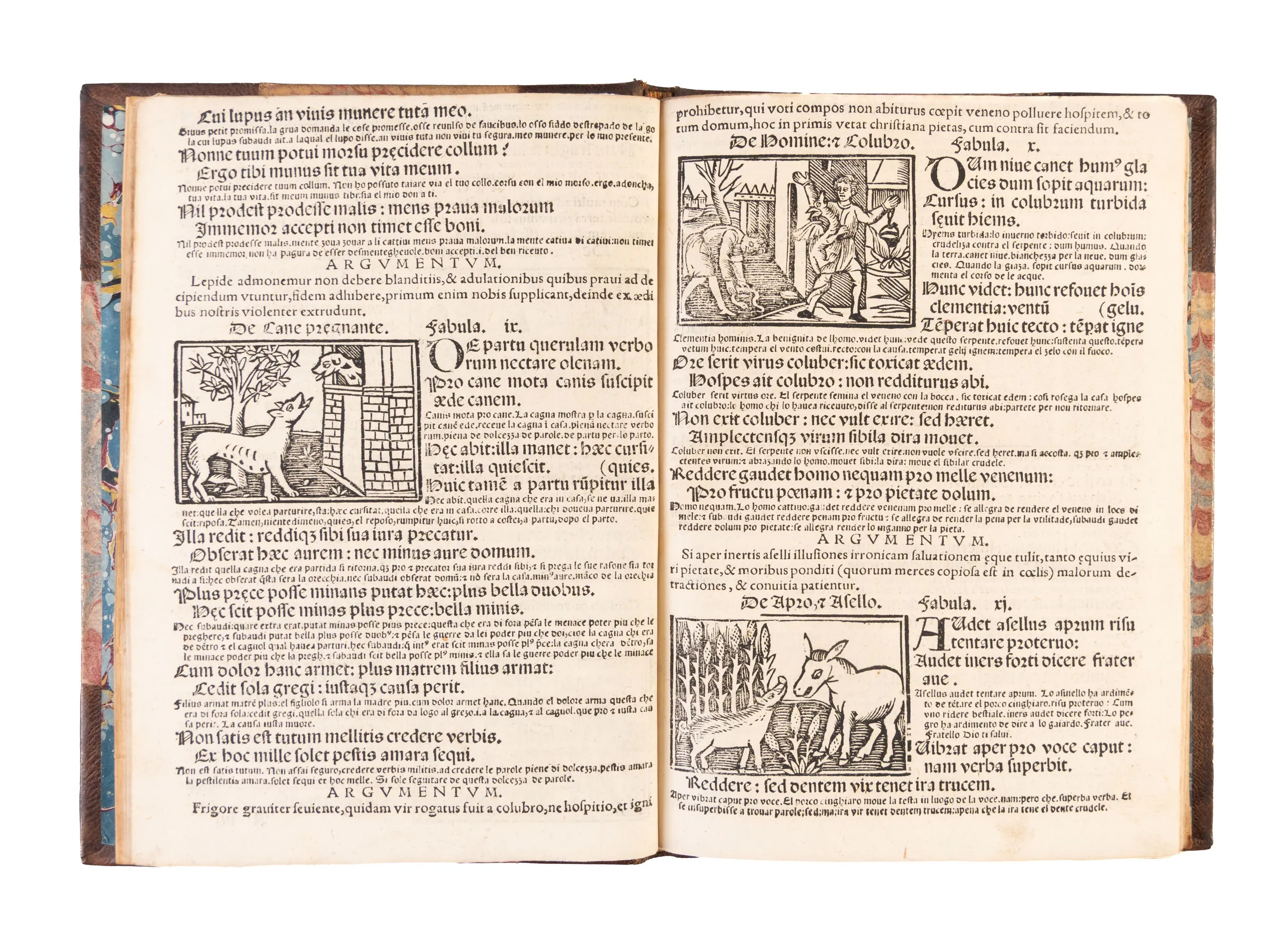 Fabellas una cum argumentis novis.
 
Brescia, heirs of Ludovico Britannicus, 1563