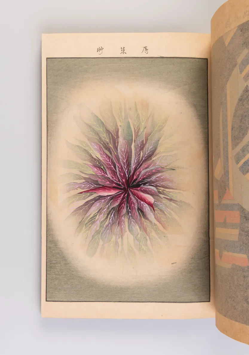 Tama kagami [Mirror of Treasures]