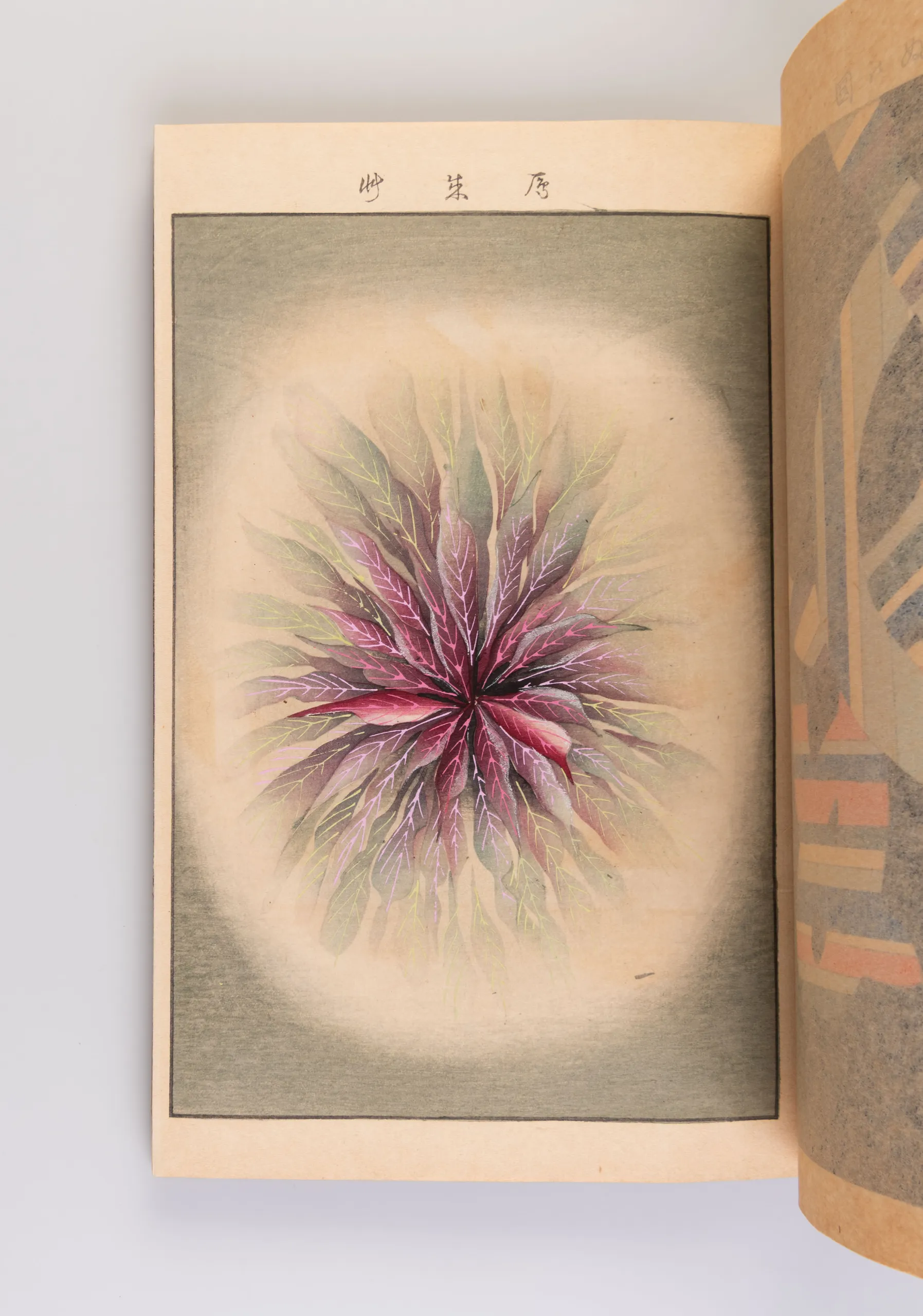 Tama kagami [Mirror of Treasures]