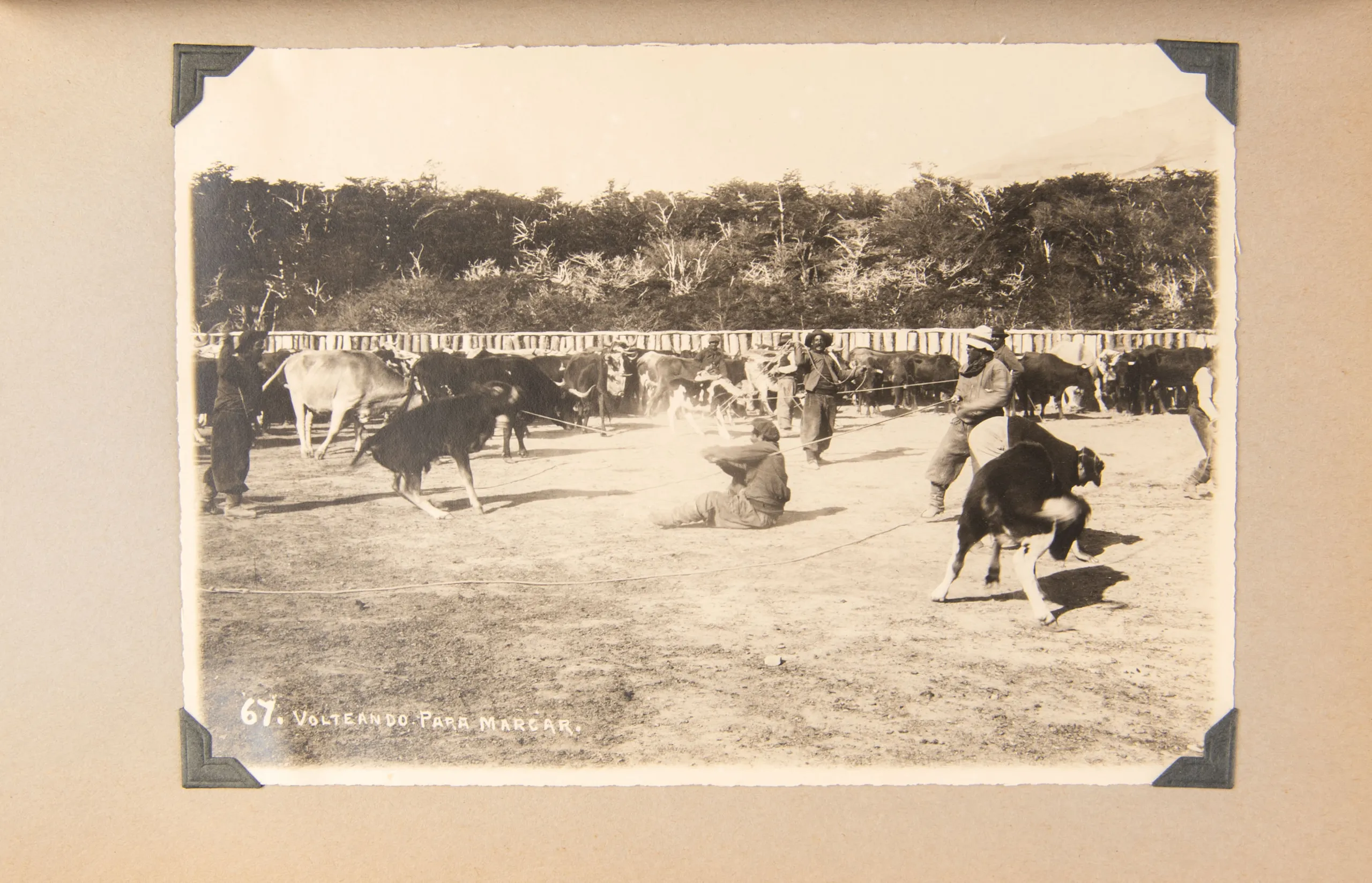 [Photographs of Patagonia and the Straits of Magellan.]