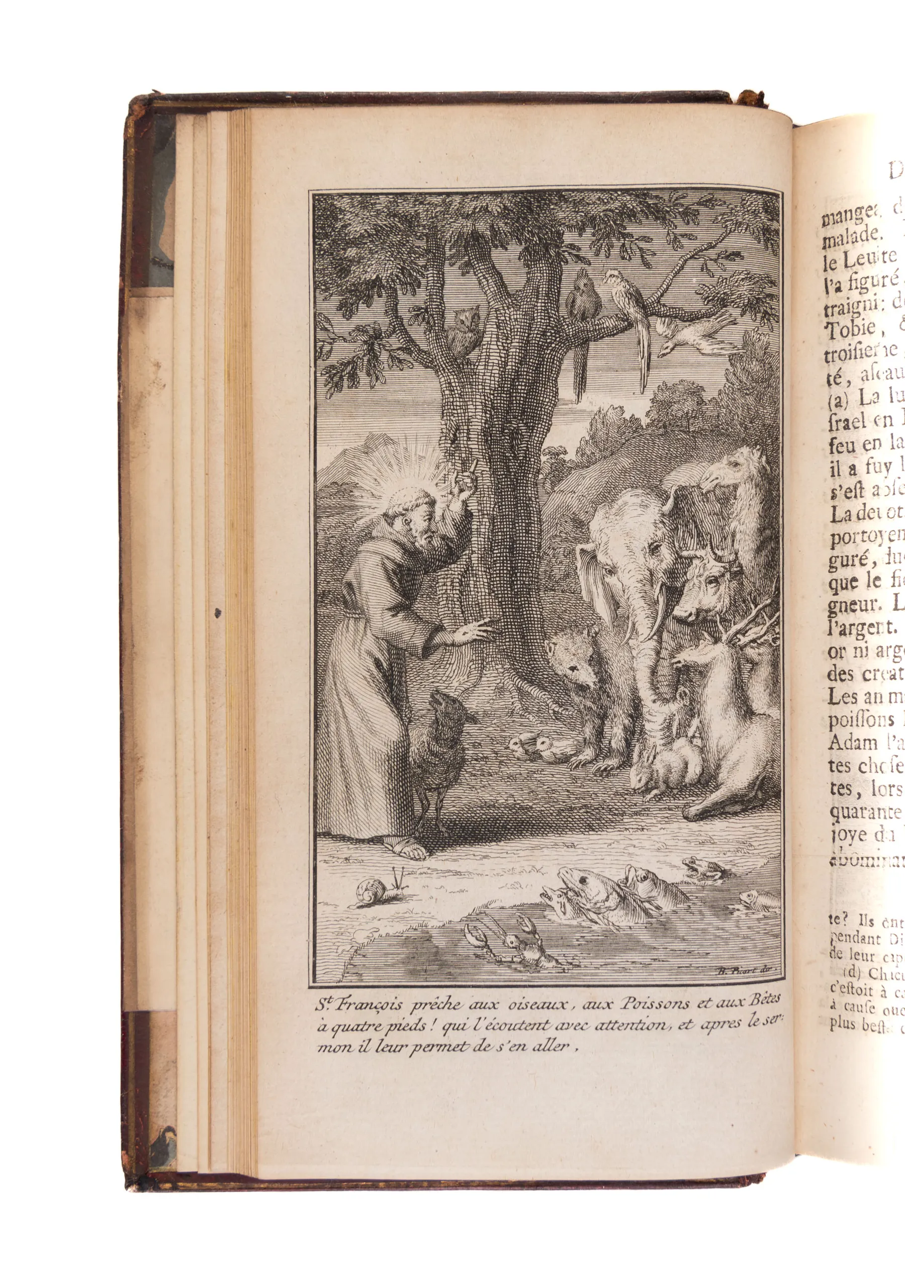 L'alcoran des cordeliers. Tant en Latin qu'en François . . . nouvelle édition. Amsterdam, aux dépens de la compagnie,