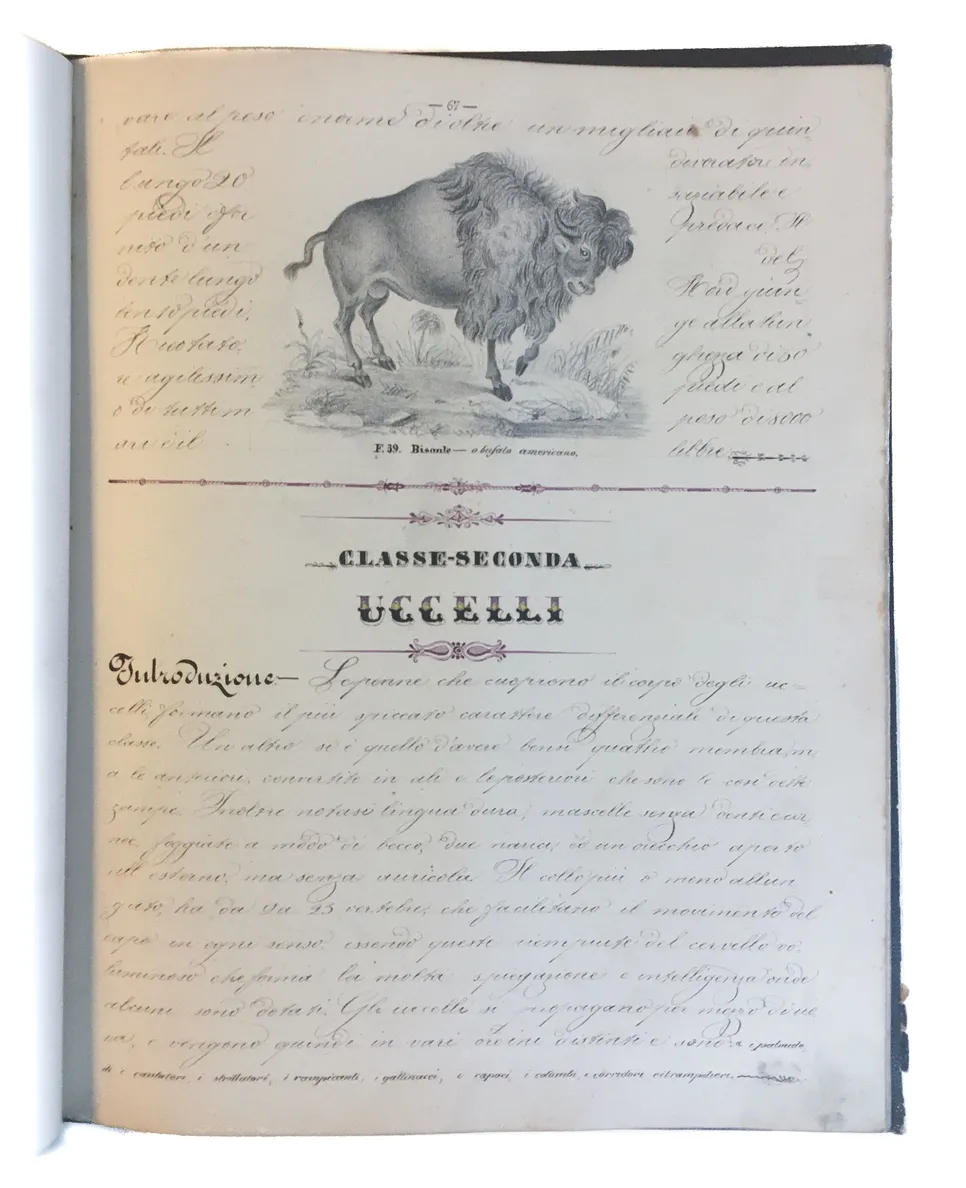 [Three illustrated notebooks.]