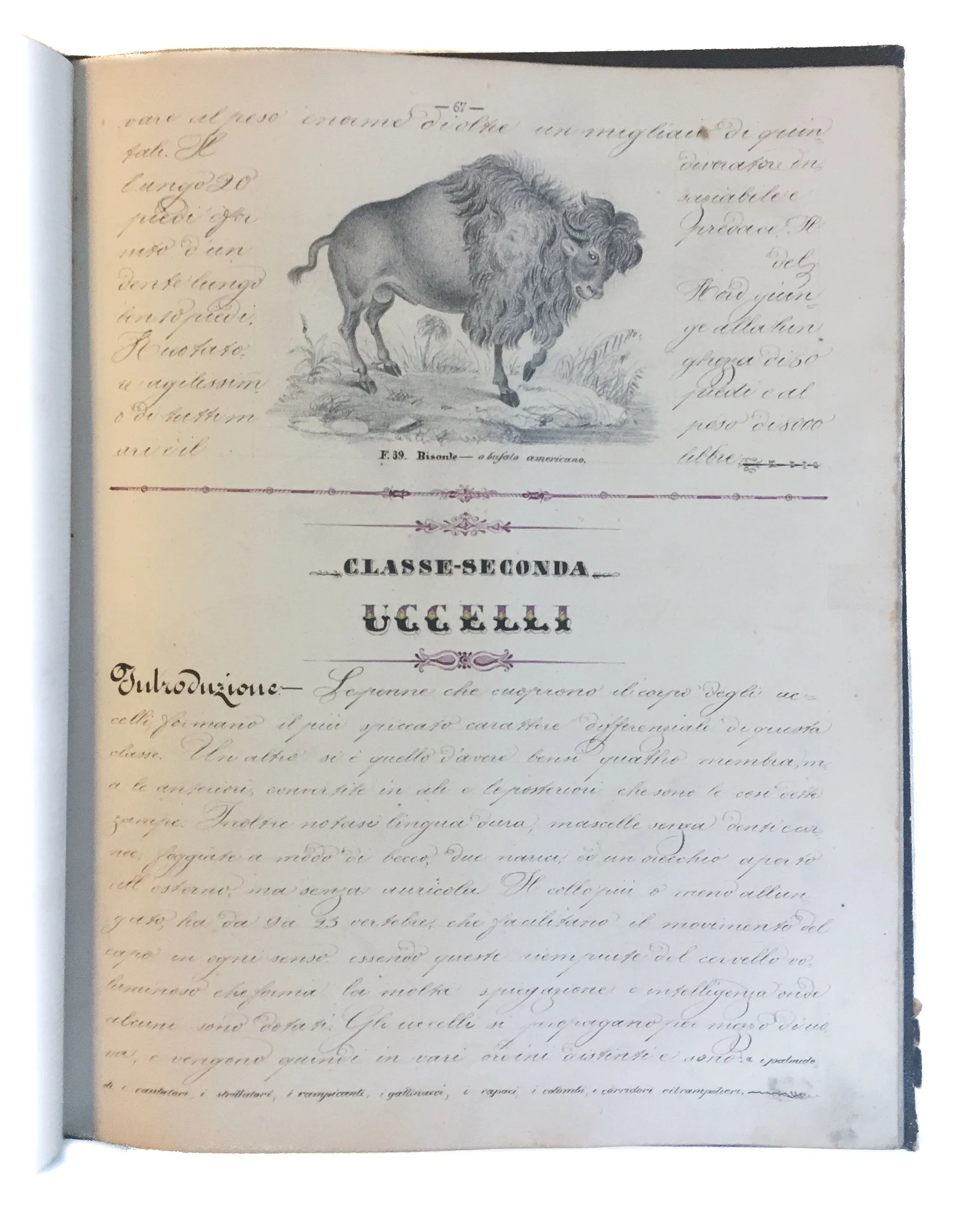 [Three illustrated notebooks.]