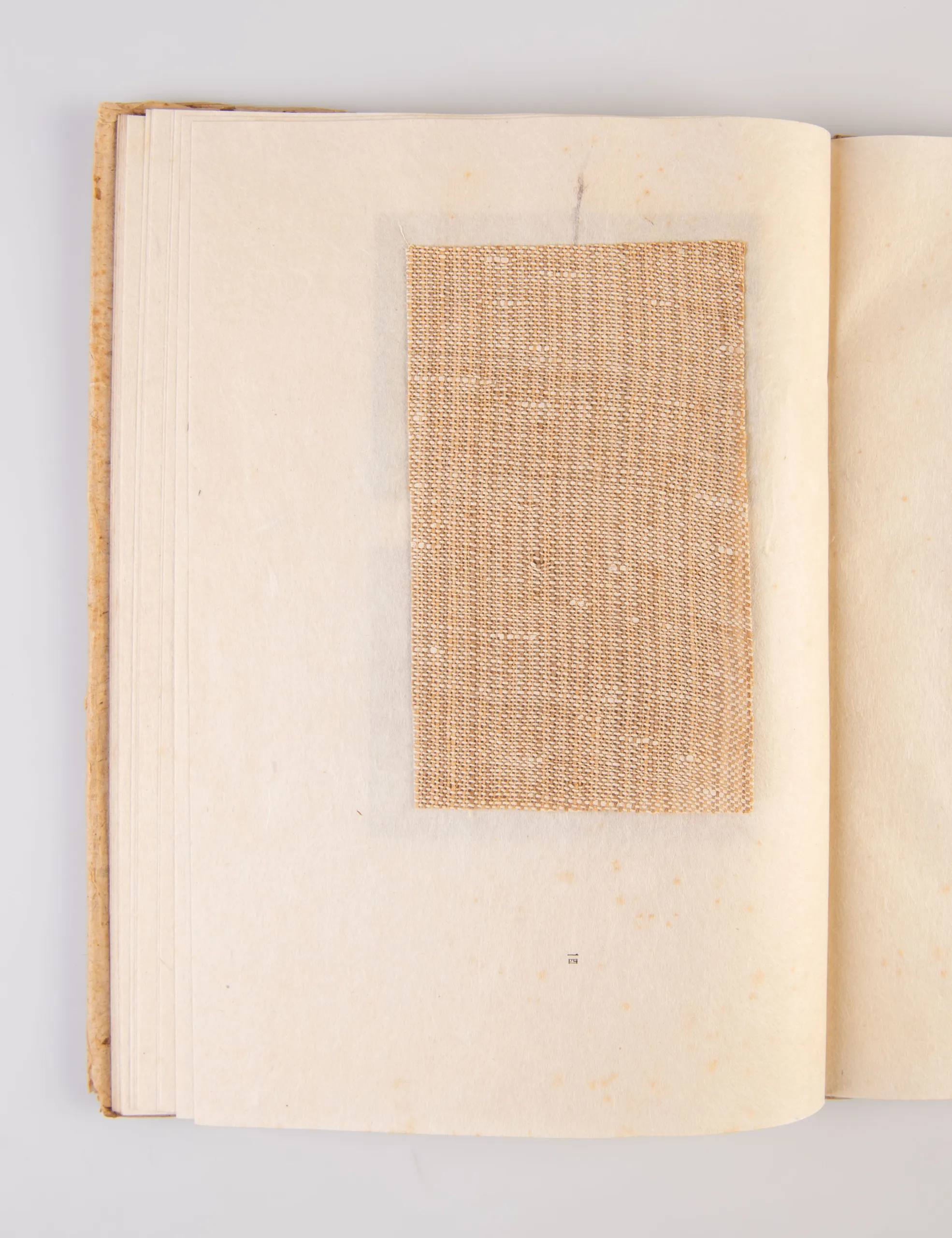 Washi no Bi [The Beauty of Japanese Paper]