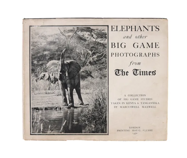 Elephants and other Big Game Photographs from The Times.