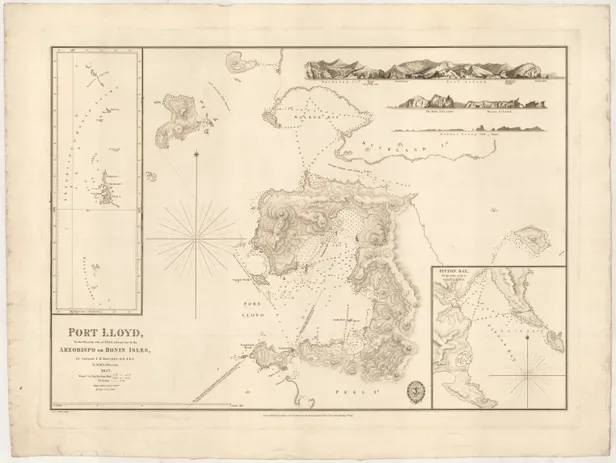 Port Lloyd, on the western side of Peel Island, one of the Arzobispo or Bonin Islands ... 1827.